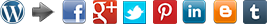 Wordpress to Social Networks