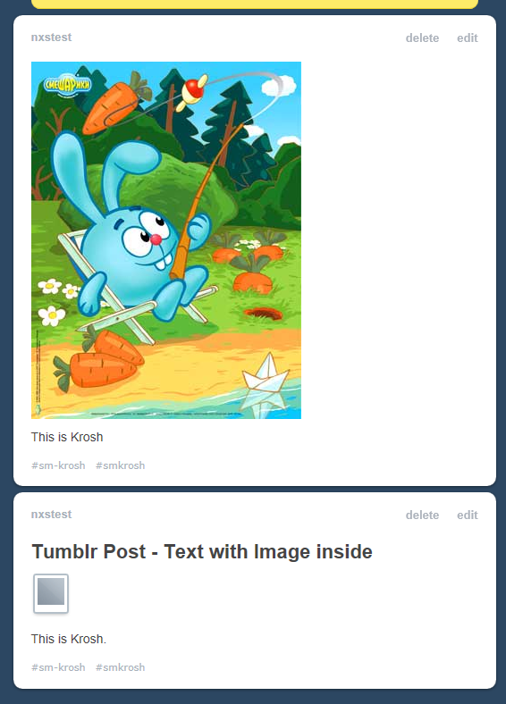 Tumblr: Text post vs Image Post - NextScripts