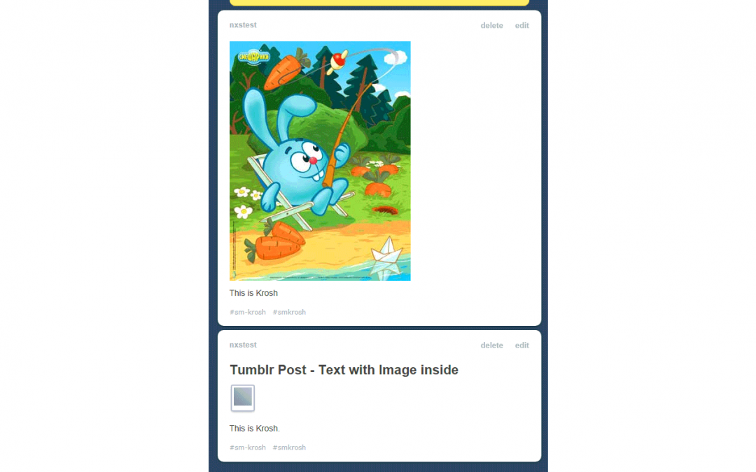 Tumblr: “Text” post vs “Image” Post