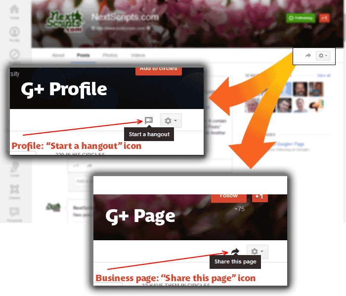 gp-profile_vs_page