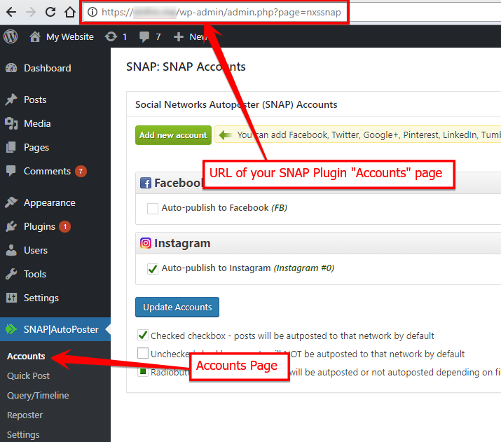 What is “URL of your SNAP Plugin “Accounts” page” and how to find it?